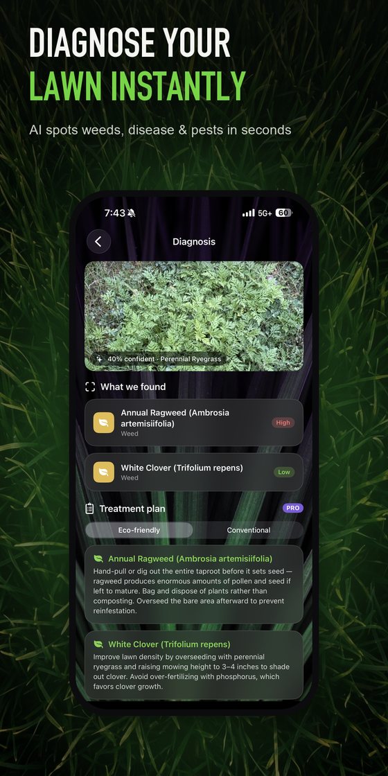 Diagnose your lawn instantly — AI spots weeds, disease and pests in seconds